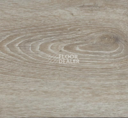 Кварцвиниловые полы FineFloor FF-1200 Strong 1262 Дуб Генезис фото 1 | FLOORDEALER